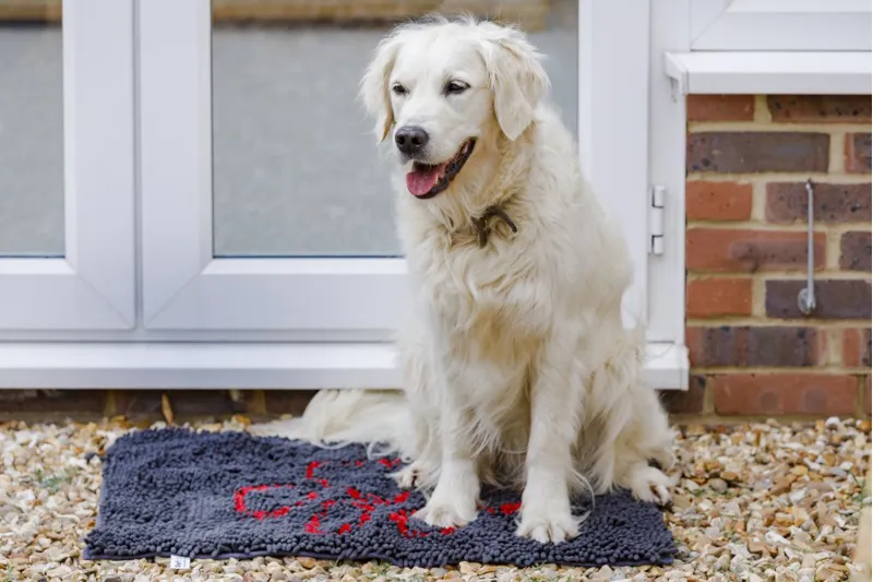 Petface Clean and Dry Microfibre Pet Mat-3